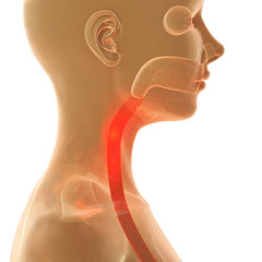 Halsschmerzen - 3D Render