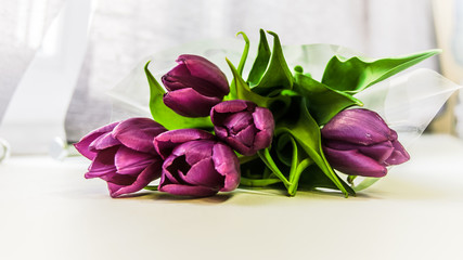 Purple tulips bouquet background