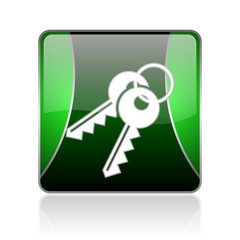 keys black and green square web glossy icon
