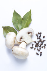Champignons on white