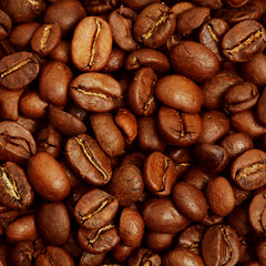 Coffee beans background, macro