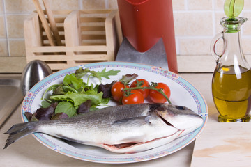 sea bream