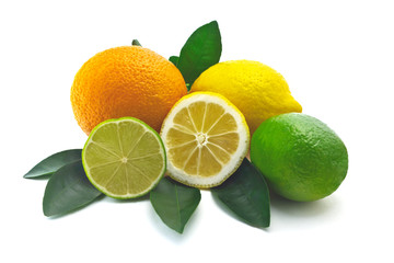 citrus on white background