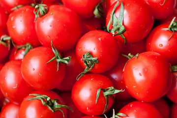 Fresh tomatoes