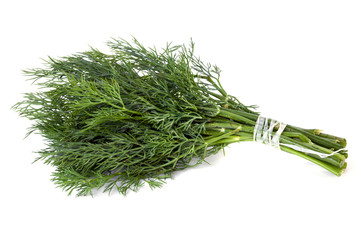 A bunch of fresh dill