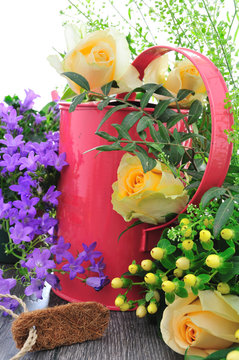blume a28