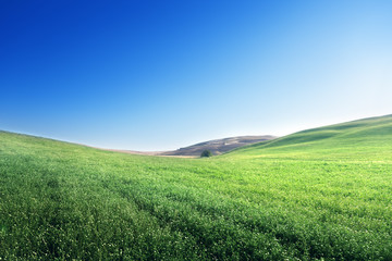 hills in sunny day Tuscany, Italy