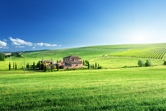 Tuscany landscape with typical farm house, Italty