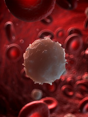 3d rendered illustration of a white blood cell
