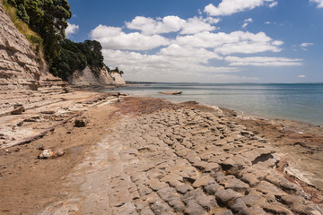 eroded cliffs on Takapuna beach