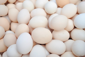 fresh eggs