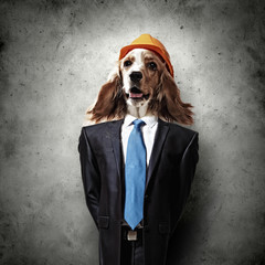 Obrazy na Szkle  Zabawny portret psa w garniturze