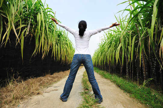 cheering woman on sugarcane field