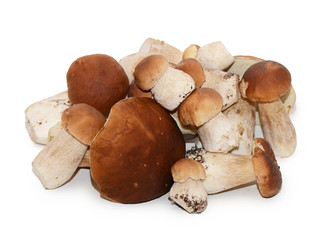 Boletus edulis isolated on white background