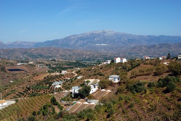 Fototapeta na wymiar Andalusian countryside, Iznate, Spain © Arena Photo UK