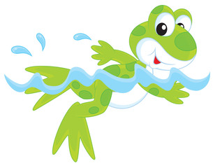 Funny green frogling swimming in water