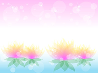 Fototapeta na wymiar Soft waterlily flower with pink