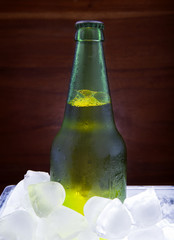 green beer bottle freezing in ice tank