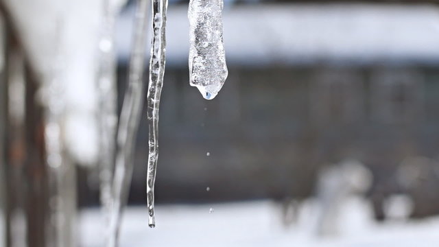 Close-up of dripping icicle in slow motion