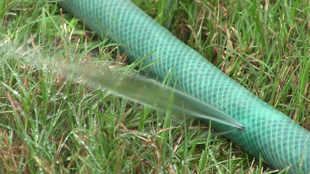 Perished hose pipe with water spurting from a hole