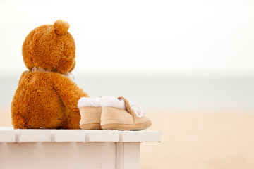 Loneliness teddy bear and baby's bootees stay on a sunbed