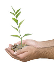 Investing to green business