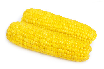 Corn isolated on white