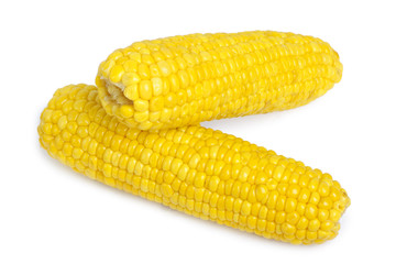 Corn isolated on white