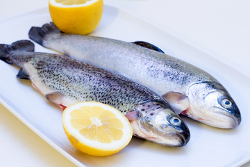 Raw trout fish with lemon slices