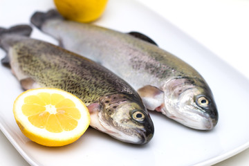 Raw trout fish with lemon slices
