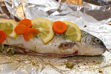 Raw trout fish with lemon slices