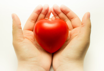 Fototapeta premium heart in hand