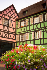 Fototapeta na wymiar houses in pink and green