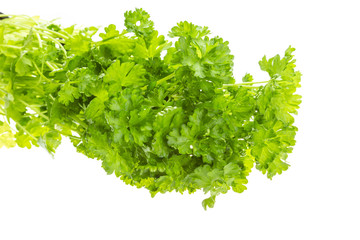 Ripe fresh Parsley