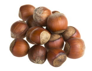 Dried hazelnuts