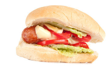 one delicious hot dog