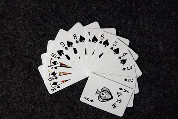 Spade Suit Two playing Cards