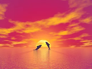 Tuinposter Dolfijnen Dolfijnen bij zonsondergang - 3D render