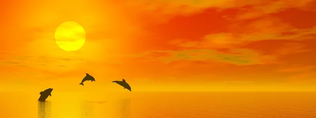 Foto auf Acrylglas Delfine Delfine bei Sonnenuntergang - 3D render