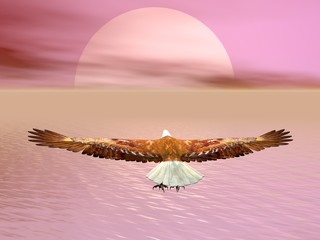Panele Szklane  Orzeł idący do słońca - renderowanie 3D