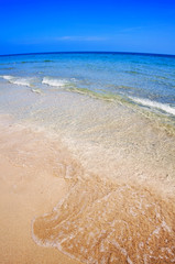 Exotic tropical beach.