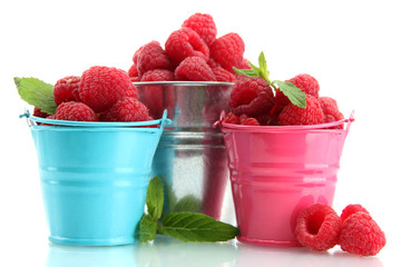 beautiful raspberries in buckets isolated on white