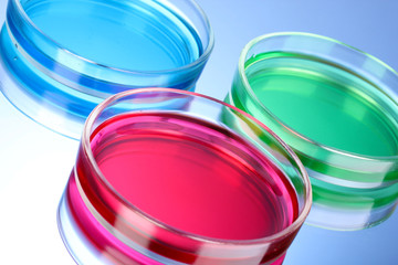 color liquid in petri dishes on blue background