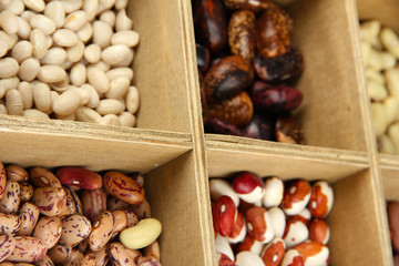 Diverse beans in wooden box sections close-up