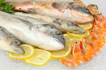 Fresh seafood on ice
