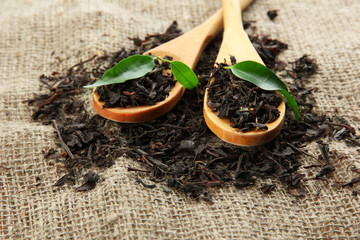 Dry tea with green leaves in wooden spoons, on burlap