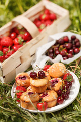 summer muffins