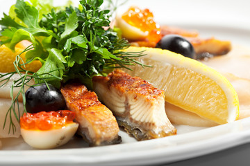 Fish Plate