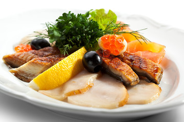 Fish Plate