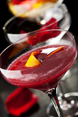 Bitter Sweet Cocktail